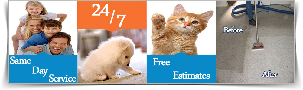 Carpet Cleaner Katy TX