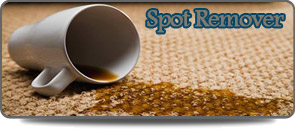Spot Remover